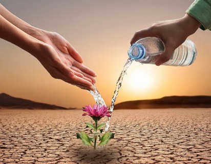 Symbolizing hope and resilience, a flower thrives in a dry desert landscape, nourished by water