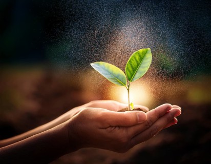 Life Concept. Existence survival being consciousness. Growth of new life, AI generated