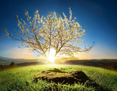 Life Concept. Existence survival being consciousness. Growth of new life, AI generated