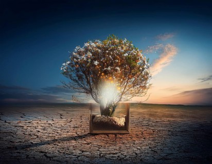 Life Concept. Existence survival being consciousness. Growth of new life, AI generated