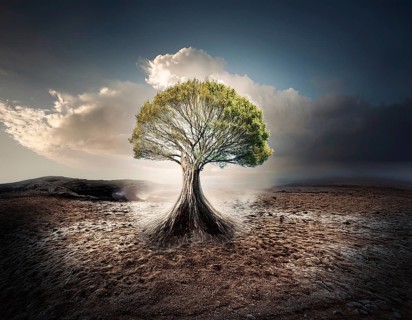 Life Concept. Existence survival being consciousness. Growth of new life, AI generated
