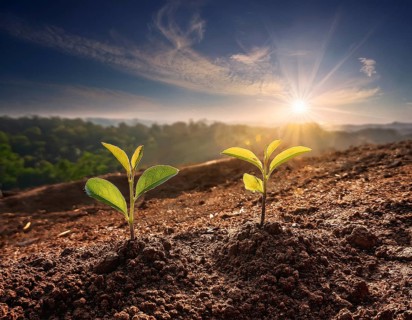 Life Concept. Existence survival being consciousness. Growth of new life, AI generated
