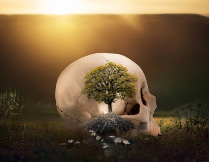 Life Concept. Existence survival being consciousness. Growth of new life, AI generated