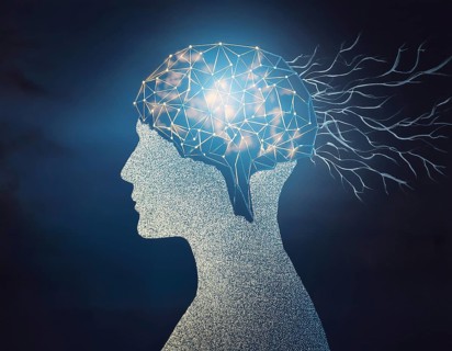 A creative representation of a human head silhouette incorporating an illuminated brain. The image