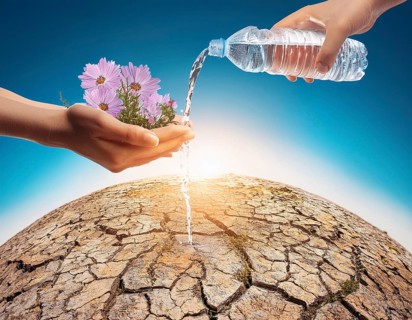 Symbolizing hope and resilience, a flower thrives in a dry desert landscape, nourished by water