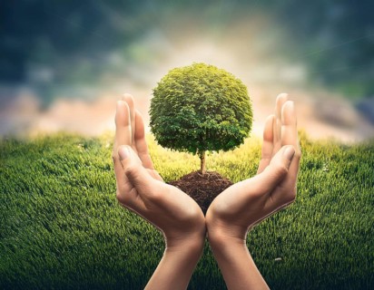 Life Concept. Existence survival being consciousness. Growth of new life, AI generated