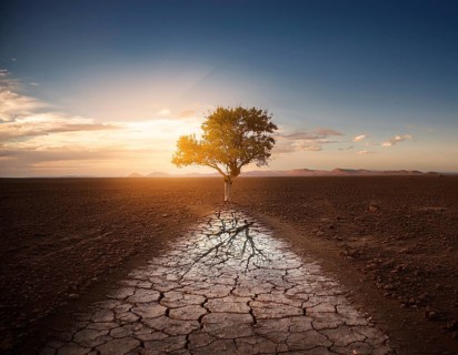 Life Concept. Existence survival being consciousness. Growth of new life, AI generated