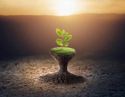 Life Concept. Existence survival being consciousness. Growth of new life, AI generated