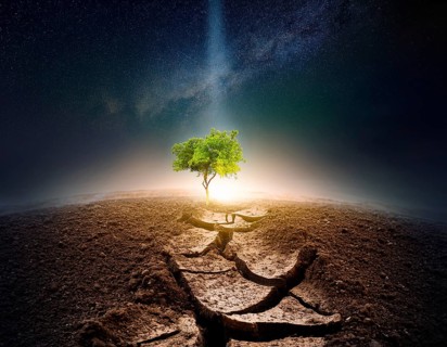 Life Concept. Existence survival being consciousness. Growth of new life, AI generated