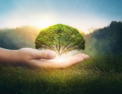 Ecology and Environment concept. Environment Earth Day In the hands of trees growing seedlings,
