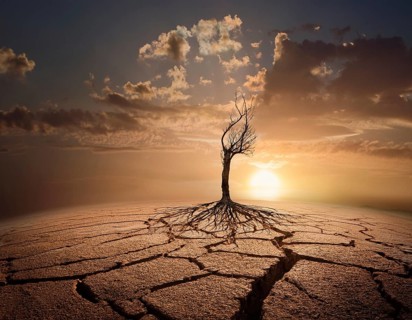 Life Concept. Existence survival being consciousness. Growth of new life, AI generated