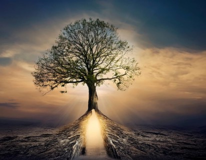 Life Concept. Existence survival being consciousness. Growth of new life, AI generated
