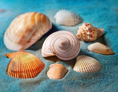 Composition with beach water, sand, starfish and seashells. Summer vacations concept, AI generated