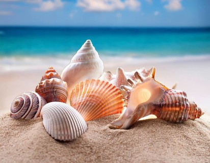 Composition with beach water, sand, starfish and seashells. Summer vacations concept, AI generated