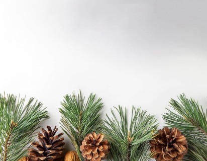 Holiday-themed flat lay with evergreen pine branches and pine cones, evoking a minimalist and