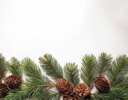 Holiday-themed flat lay with evergreen pine branches and pine cones, evoking a minimalist and