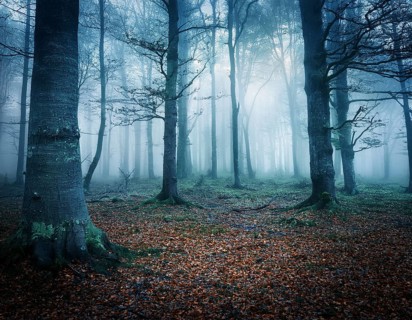 Mysterious dark misty forest dark magical forest night scary panorama halloween landscape, AI