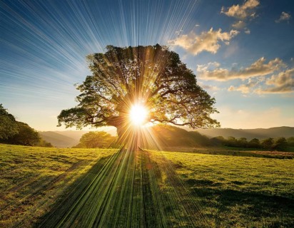 An awe-inspiring scene showcasing the sun's rays bursting through a solitary tree, illuminating a
