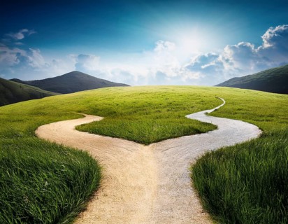 Directional Signpost at Forked Path Illustrating Decision and Choices in Nature, AI generated