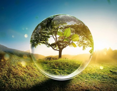 Ecology and Environment concept. Environment Earth Day In the hands of trees growing seedlings,