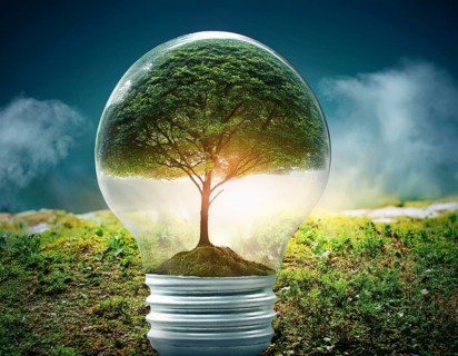 Ecology and Environment concept. Environment Earth Day In the hands of trees growing seedlings,