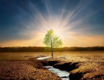 Life Concept. Existence survival being consciousness. Growth of new life, AI generated