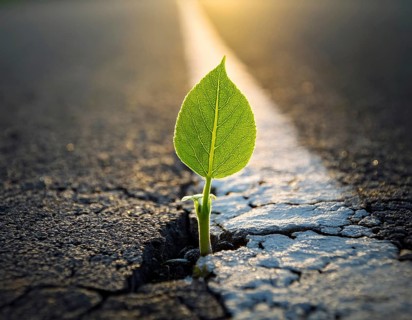 Life Concept. Existence survival being consciousness. Growth of new life, AI generated