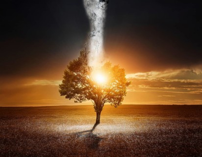 Life Concept. Existence survival being consciousness. Growth of new life, AI generated