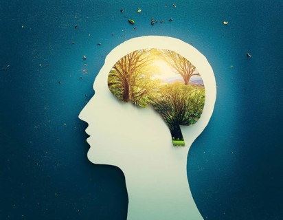 A concept image depicting a human head silhouette filled with scenic nature, symbolizing mental