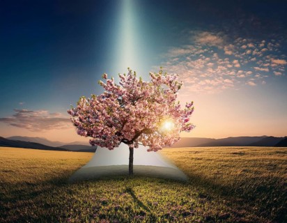 Life Concept. Existence survival being consciousness. Growth of new life, AI generated