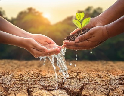 A close-up of hands nurturing a young plant by pouring water, symbolizing hope, growth, and