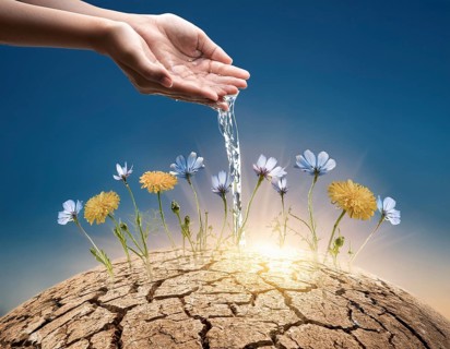 Symbolizing hope and resilience, a flower thrives in a dry desert landscape, nourished by water