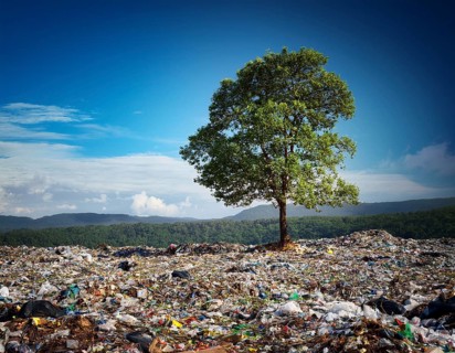A solitary green tree amidst a landscape filled with trash and waste, symbolizing environmental