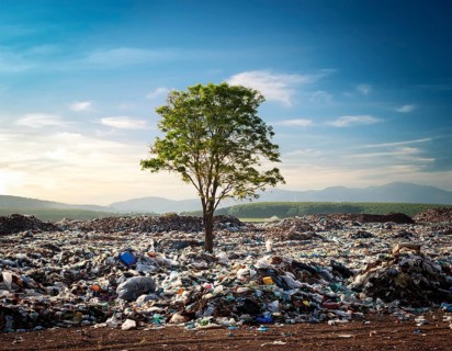 A solitary green tree amidst a landscape filled with trash and waste, symbolizing environmental