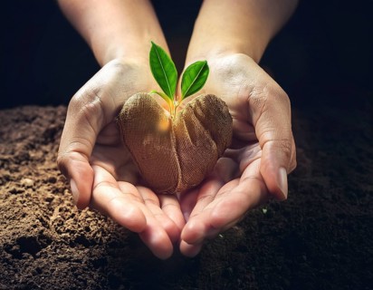 Hands gently cradle soil with a heart-shaped tree, symbolizing environmental care, growth, and