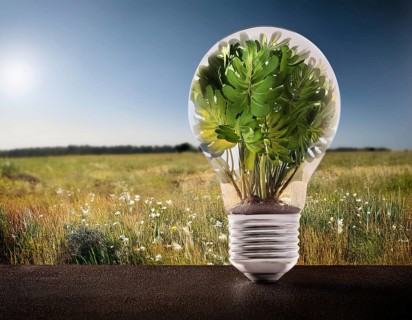 Ecology and Environment concept. Environment Earth Day In the hands of trees growing seedlings,