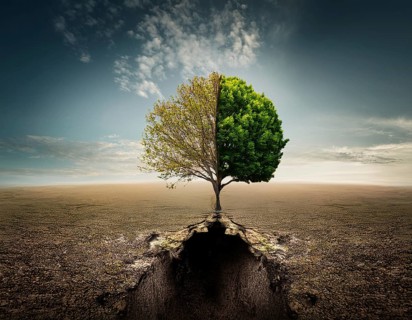 Life Concept. Existence survival being consciousness. Growth of new life, AI generated