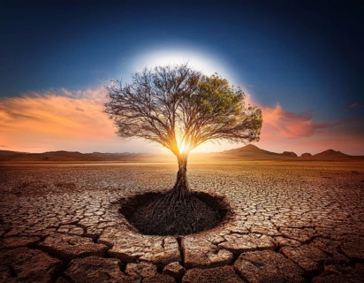 Life Concept. Existence survival being consciousness. Growth of new life, AI generated