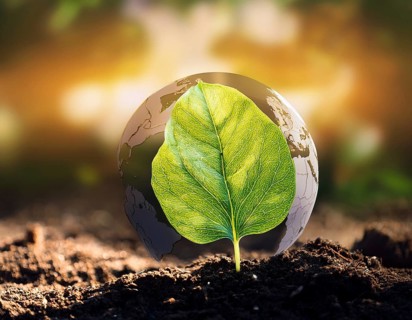 Life Concept. Existence survival being consciousness. Growth of new life, AI generated
