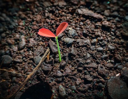 Life Concept. Existence survival being consciousness. Growth of new life, AI generated