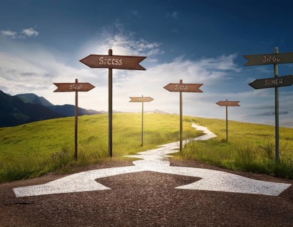 Directional Signpost at Forked Path Illustrating Decision and Choices in Nature, AI generated