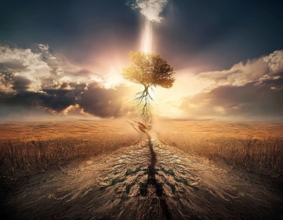 Life Concept. Existence survival being consciousness. Growth of new life, AI generated