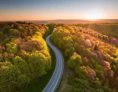 A scenic aerial view of a serpentine road surrounded by lush green forest, illuminated by soft
