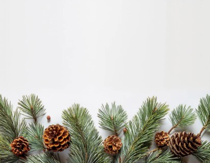 Holiday-themed flat lay with evergreen pine branches and pine cones, evoking a minimalist and