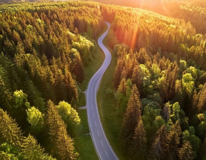 A scenic aerial view of a serpentine road surrounded by lush green forest, illuminated by soft