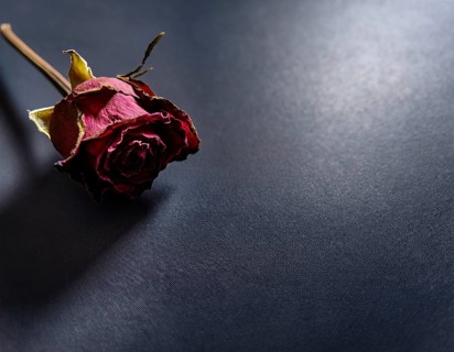 Withered Red Rose on Dark Background with Moody Lighting, AI generated