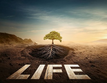 Life Concept. Existence survival being consciousness. Growth of new life, AI generated