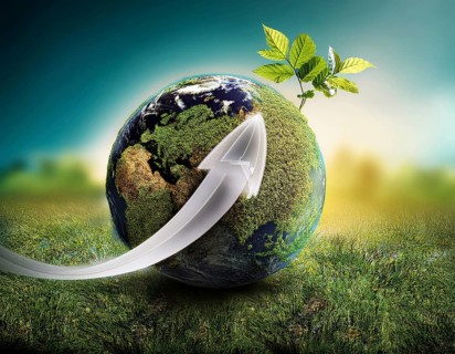Ecology and Environment concept. Environment Earth Day In the hands of trees growing seedlings,