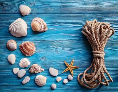 Frame of rope, seashells and starfishes is lying on a wooden textured blue background, AI generated