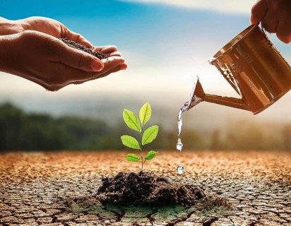 A close-up of hands nurturing a young plant by pouring water, symbolizing hope, growth, and
